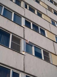 From the series "Conditions of Production" | DER GREIF