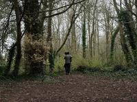 "Meet a Tree" | DER GREIF