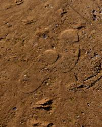 Footprints in a quarry | DER GREIF
