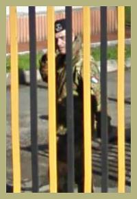 "Hidden in Plain Sight" | DER GREIF