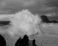 Untitled | DER GREIF