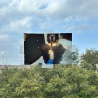 To Be Seen, To Be Held | DER GREIF