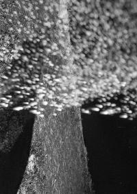 Giorgia Lisi, From the series "In the darkness I can see you", Den Haag, Netherlands, 2025 | DER GREIF