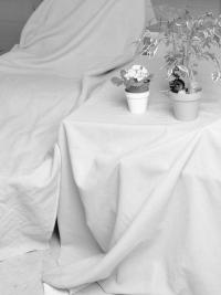 "At home" | DER GREIF