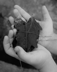 "Opfer", Germany, 2024 | DER GREIF