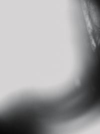 I can't bear for you to see me cry (WIP) | DER GREIF