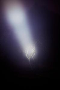 From the series "Noche, no te vayas" | DER GREIF