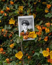 "Xana'yan / Santa Barbara Foothills, (California Flannelbush)", 2023 | DER GREIF