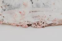 Untitled | DER GREIF