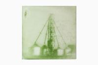 From the series "Bloom", Maumee River Watershed, United States, 2026 | DER GREIF