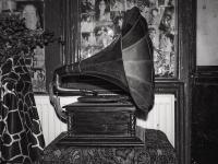 From the series "How to disappear", Den Haag, The Netherlands, 2024 | DER GREIF