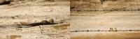 "Graffiti and Petroglyphs”, 2023, unceded Modoc territory from “All the World’s Horses”, Nicoletti Contemporary, London. | DER GREIF