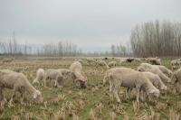 Zainab, from the series "Hazaron Khwahishein Aisi" | DER GREIF