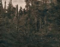 Anna Leigh Clem, Impasse: Strawberry, Prince Edward Island, CAN, 2024 | DER GREIF