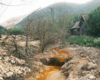 From the series "flux", Geamana, Alba region, Romania, 2025 | DER GREIF