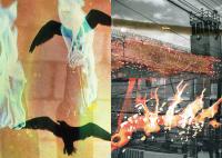 Mónica Almereyda, Set Fire to Flames, from the series Lettergraphies: Chromatic of Resistance, Mexico, 2024 | DER GREIF