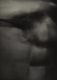 © Ege Kanar | DER GREIF