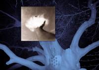 Andrés Pardo Iannini, "Chesed - For He Delights in Kindness", Leiderdorp, Netherlands, 2024 | DER GREIF