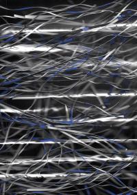 "23082023-15" | DER GREIF