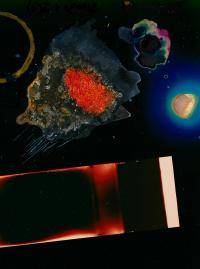 "Sketch #3," Chemigram on analog Color Print, 24x40cm, 2023 | DER GREIF