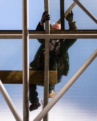 From recent walks | DER GREIF