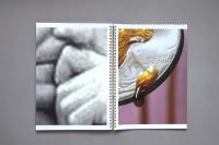 Spread 7 | DER GREIF