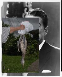 "Ronald" | DER GREIF