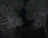 It’s Darkest Before The Dawn | DER GREIF