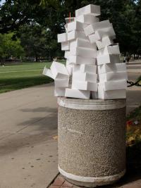 "Eclipse Aftermath", Urbana, Illinois, USA, 2017 | DER GREIF