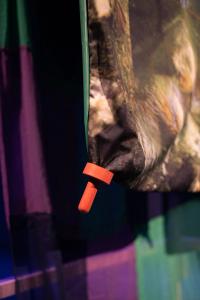 Untitled | DER GREIF