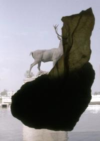 Pancho Westendarp, "A Root that is also a Snake", Queretaro, Mexico, 2024 | DER GREIF