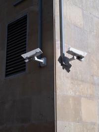 From the series "Conditions of Production" | DER GREIF