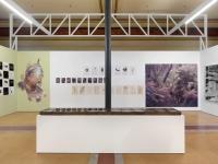 "Bruissements végétaux" installation view. Photo by Annik Wetter | DER GREIF