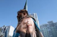 A father's vigil for his POW son during a prisoner exchange. | DER GREIF