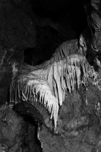 DER GREIF