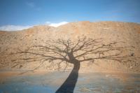 Mauro Macchioni, from the series "Handle with Care" | DER GREIF