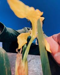 From "Sorry About That", Essex, United Kingdom of Great Britain and Northern Ireland, 2022 | DER GREIF