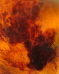 I can't bear for you to see me cry (WIP) | DER GREIF