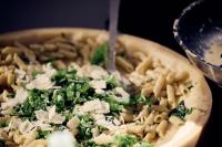 Untitled | DER GREIF