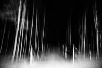 Untitled from "Breathing in 100000 km breathing out" | DER GREIF