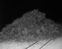 It’s Darkest Before The Dawn | DER GREIF