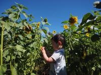 From the series “Counted, Graded, Numbered” | DER GREIF