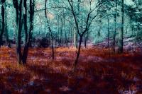 Sonia Bhamra, "A Surreal Landscape", 2021. | DER GREIF