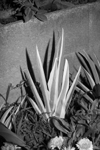 Let Your Eyes Dance | DER GREIF