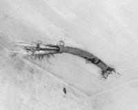 From the series "Why does the moon follow us everywhere we go?" | DER GREIF