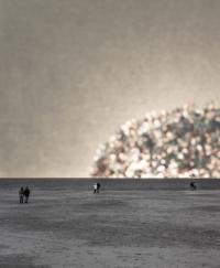 "New Dawn" | DER GREIF