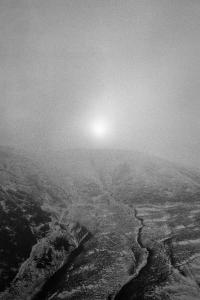 Daria Nazarova, from the series "Natura" | DER GREIF