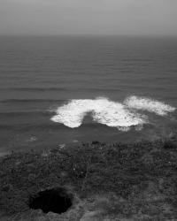 Untitled | DER GREIF