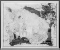 "Tenacity II" | DER GREIF