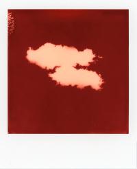 From the series "Metanoia" | DER GREIF